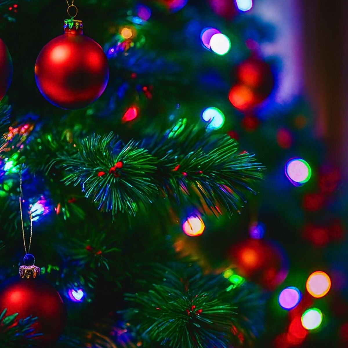 Cordão Pisca de Natal 100 Leds 10 metros Fio Transparente 8 Funções Decoração Para Árvores, Casa e Festas LuvinCo