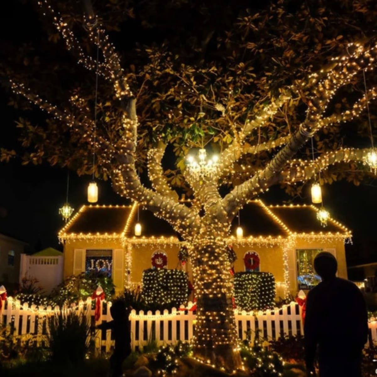Cordão Pisca de Natal 100 Leds 10 metros Fio Transparente 8 Funções Decoração Para Árvores, Casa e Festas LuvinCo