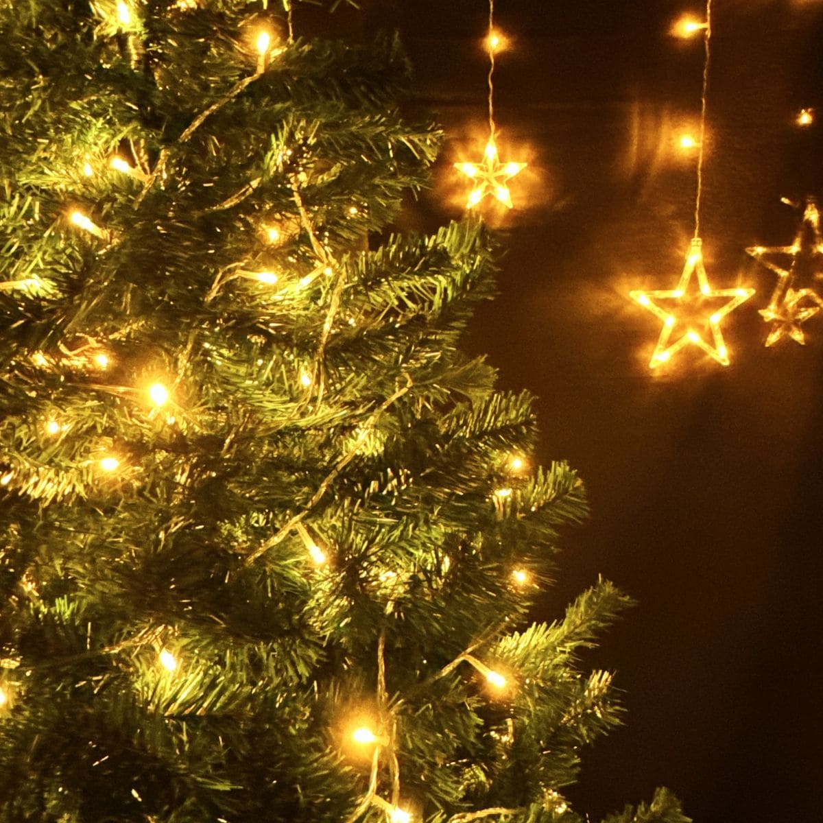 Cordão Pisca de Natal 300 Leds 30 metros Fio Transparente 8 Funções Decoração Para Árvores, Casa e Festas LuvinCo