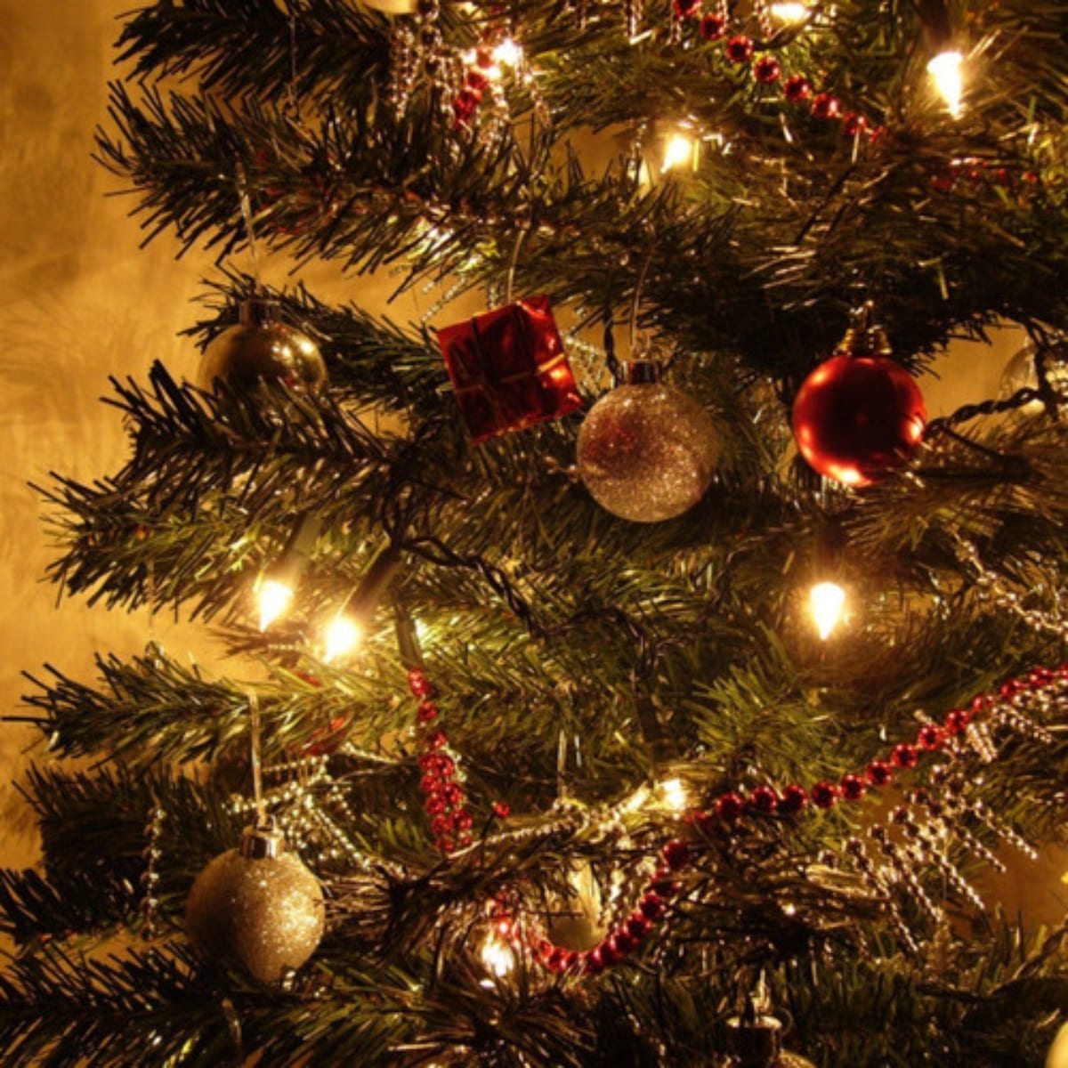 Cordão Pisca de Natal 300 Leds 30 metros Fio Transparente 8 Funções Decoração Para Árvores, Casa e Festas LuvinCo