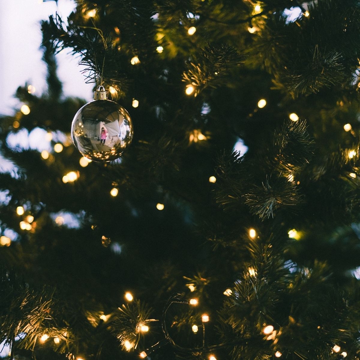 Cordão Pisca de Natal 500 Leds 50 metros Fio Transparente 8 Funções Decoração Para Árvores, Casa e Festas LuvinCo