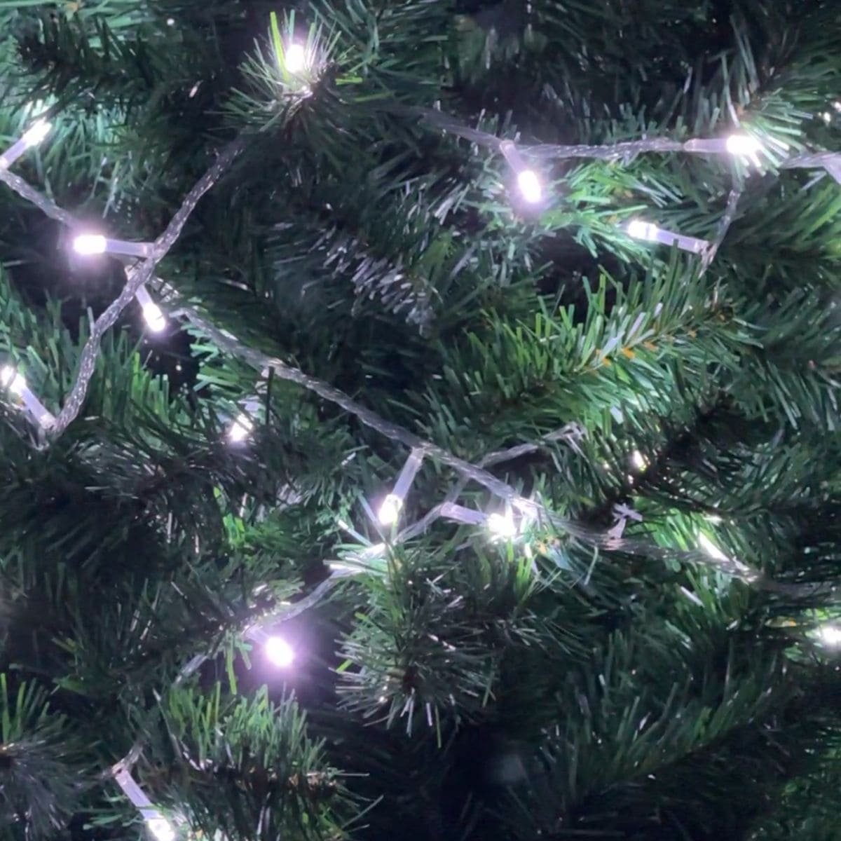 Cordão Pisca de Natal 300 Leds 30 metros Fio Transparente 8 Funções Decoração Para Árvores, Casa e Festas  LuvinCo