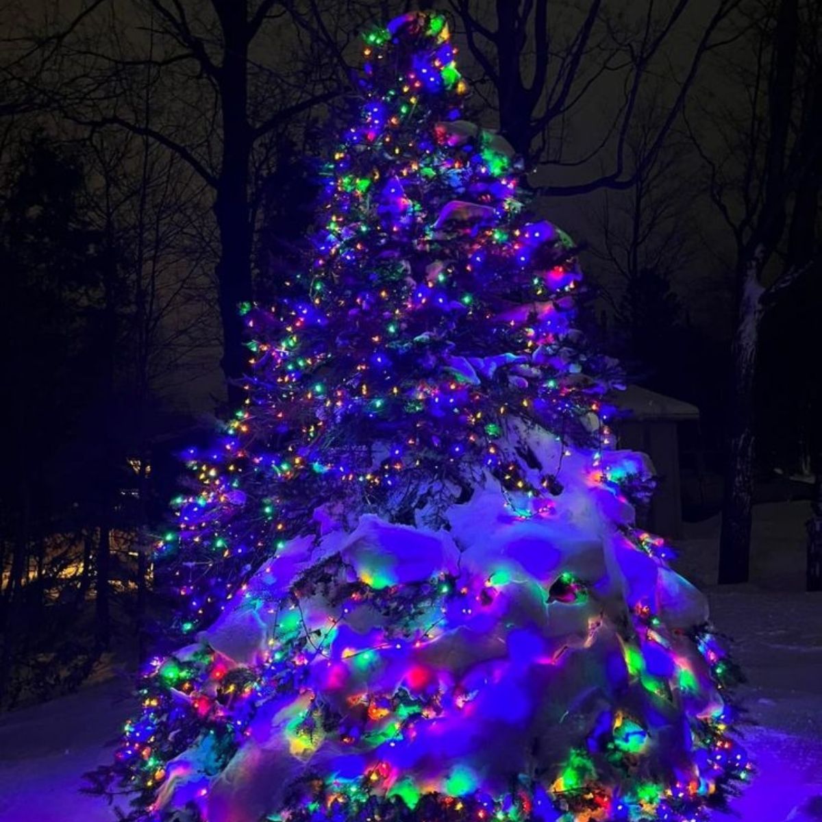 Cordão Pisca de Natal 500 Leds 50 metros Fio Transparente 8 Funções Decoração Para Árvores, Casa e Festas LuvinCo